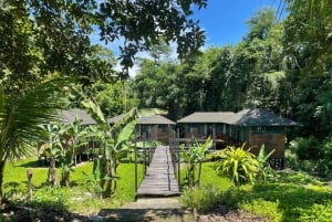 From Cusco: 5 Days of Exploration and Connection in the Manu Reserved Zone