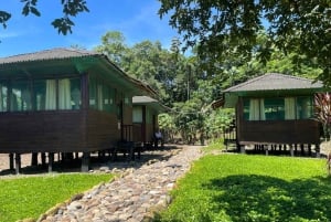 From Cusco: 5 Days of Exploration and Connection in the Manu Reserved Zone