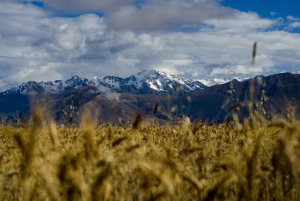 From Cusco: 6-Day Machu Picchu and Cusco Tour