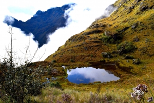 From Cusco: 7-Day Trek to Machu Picchu Through Inca Trail