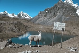 Vanuit Cusco: 7 meren wandeltocht van Ausangate