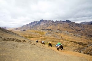 Från Cusco: 7 Lakes Ausangate Trek med frukost och lunch