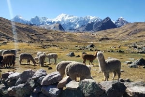 From Cusco: 7 Lakes of Ausangate Full Day Tour