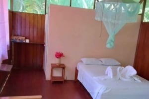 From Cusco: Amazon jungle for two days with sleeper bus and private lodge