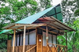 From Cusco: Amazon jungle for two days with sleeper bus and private lodge