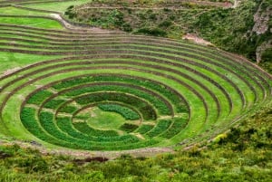 Depuis Cusco : Excursions en VTT à Maras et Moray demi-journée |Visite privée|