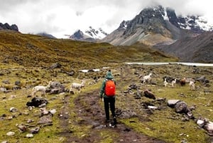 From Cusco: Ausangate 7 Lagoons Full Day Excursion