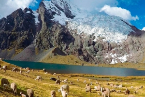 From Cusco: Ausangate Route - 7 Lagoons Tour + Meals