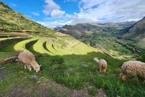 Desde Cuzco: Chinchero, Moray, Maras, Ollantaytambo y Pisaq