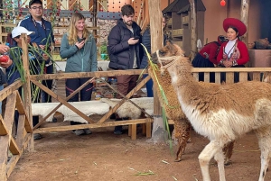 Vanuit Cusco: Chinchero-wevers, Moray, Maras-zoutmijnen