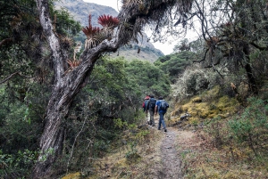 From Cusco: Choquechaca and Pumamarca Private Full-Day Hike