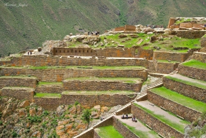 From Cusco: City tour and Pisac Full-Day