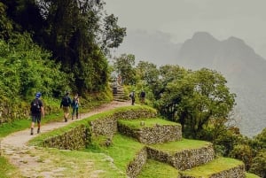 Desde Cusco: Camino Inca Clásico de 4 días a Machu Picchu