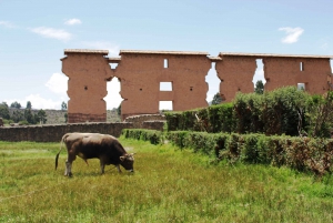 From Cusco: Cusco to Puno Shuttle & Guided Tour w/Box lunch