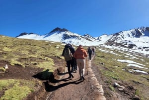 Desde Cusco: Excursión de un día a la Montaña Arco Iris de Palcoyo