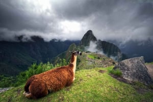 From Cusco: Direct Bus Cusco-Hidro Electrica+Lunch