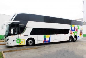 From Cusco: Direct Bus to Puerto Maldonado Bus Cama