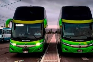 From Cusco: Direct Bus to Puerto Maldonado Bus Cama