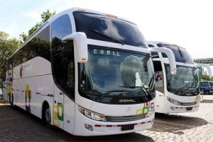 From Cusco: Direct Bus to Puerto Maldonado Bus Cama