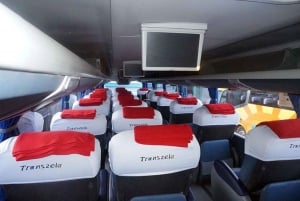 From Cusco: Direct Bus to Puerto Maldonado Bus Cama