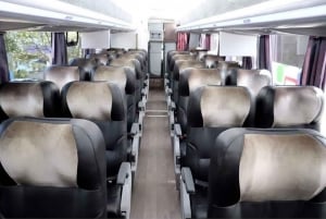 From Cusco: Direct Bus to Puerto Maldonado Bus Cama