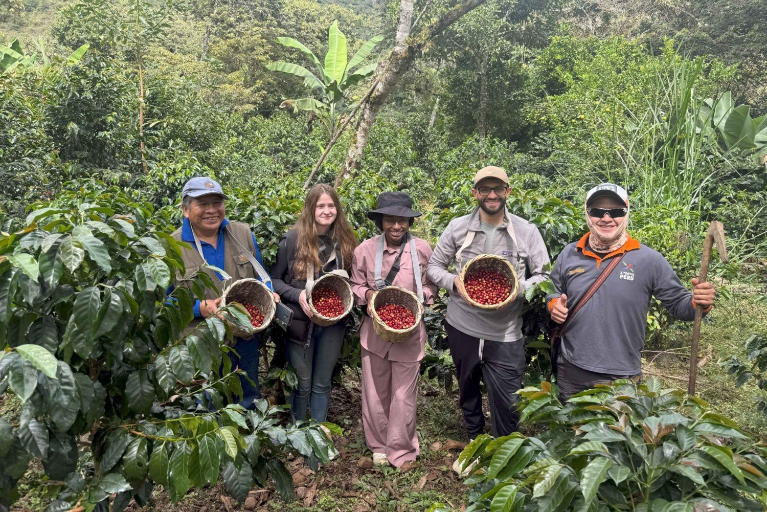 From Cusco: Full Day Coffee Tour in Huayopata
