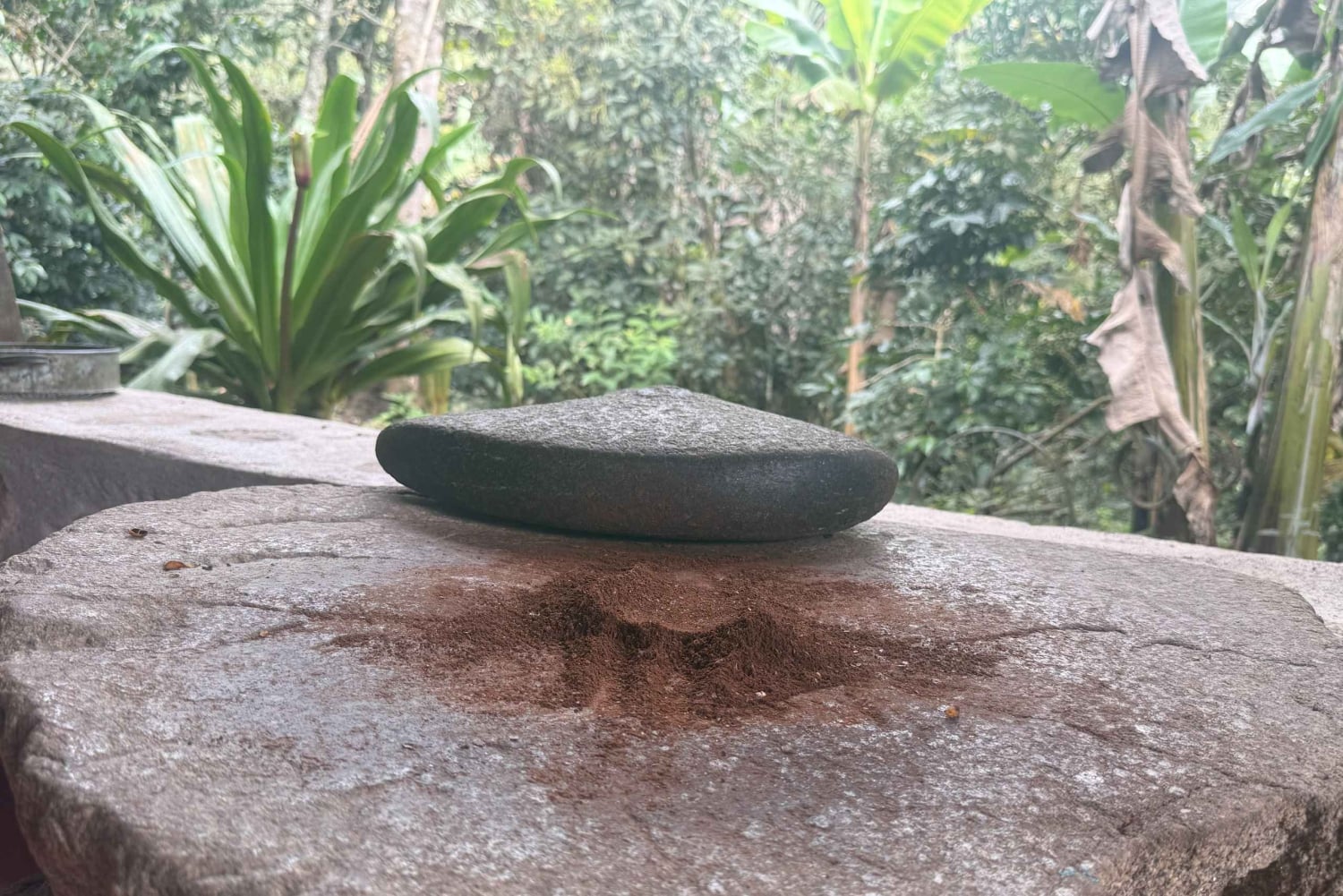 From Cusco: Full Day Coffee Tour in Huayopata