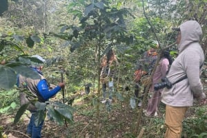 From Cusco: Full Day Coffee Tour in Huayopata
