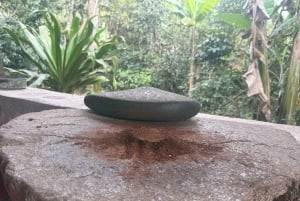 From Cusco: Full Day Coffee Tour in Huayopata