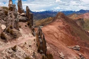 Da Cusco: escursione di 1 giorno al monte Palccoyo e pasti inclusi.