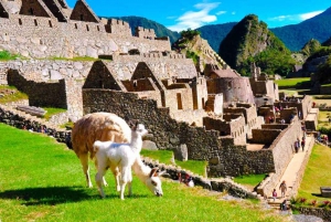 From Cusco: Full Day Machu Picchu all included