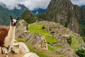 Da Cusco: Tour di un giorno intero di Machu Picchu con pranzo |Privato|