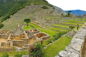 Da Cusco: Tour di un giorno intero di Machu Picchu con pranzo |Privato|