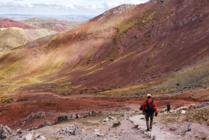 From Cusco: Full day Palccoyo Mountain tour
