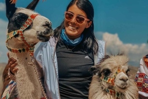 From Cusco: Full day Palccoyo Mountain tour