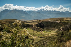 From Cusco: Full-Day Private Sacred Valley of the Incas Trip