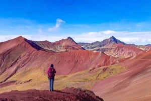 Depuis Cusco : Journée complète Montagne Arc-en-ciel + Vallée Rouge | PRIVÉE