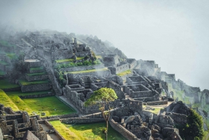 From Cusco: Full-Day Tour to Machu Picchu by Train