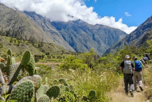 Depuis Cusco : Chemin Inca 4Jours 3Nuits