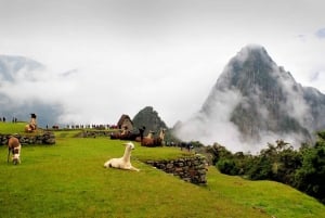 Vanuit Cusco: Inca Trail 4Dagen 3Nachten