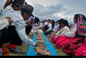 Från Cusco: Titicacasjön, Uros och Amantani med nattbuss