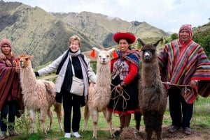 Z Cusco: Spacer z lamami i alpakami do Intipunku