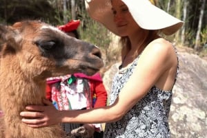 Z Cusco: Spacer z lamami i alpakami do Intipunku