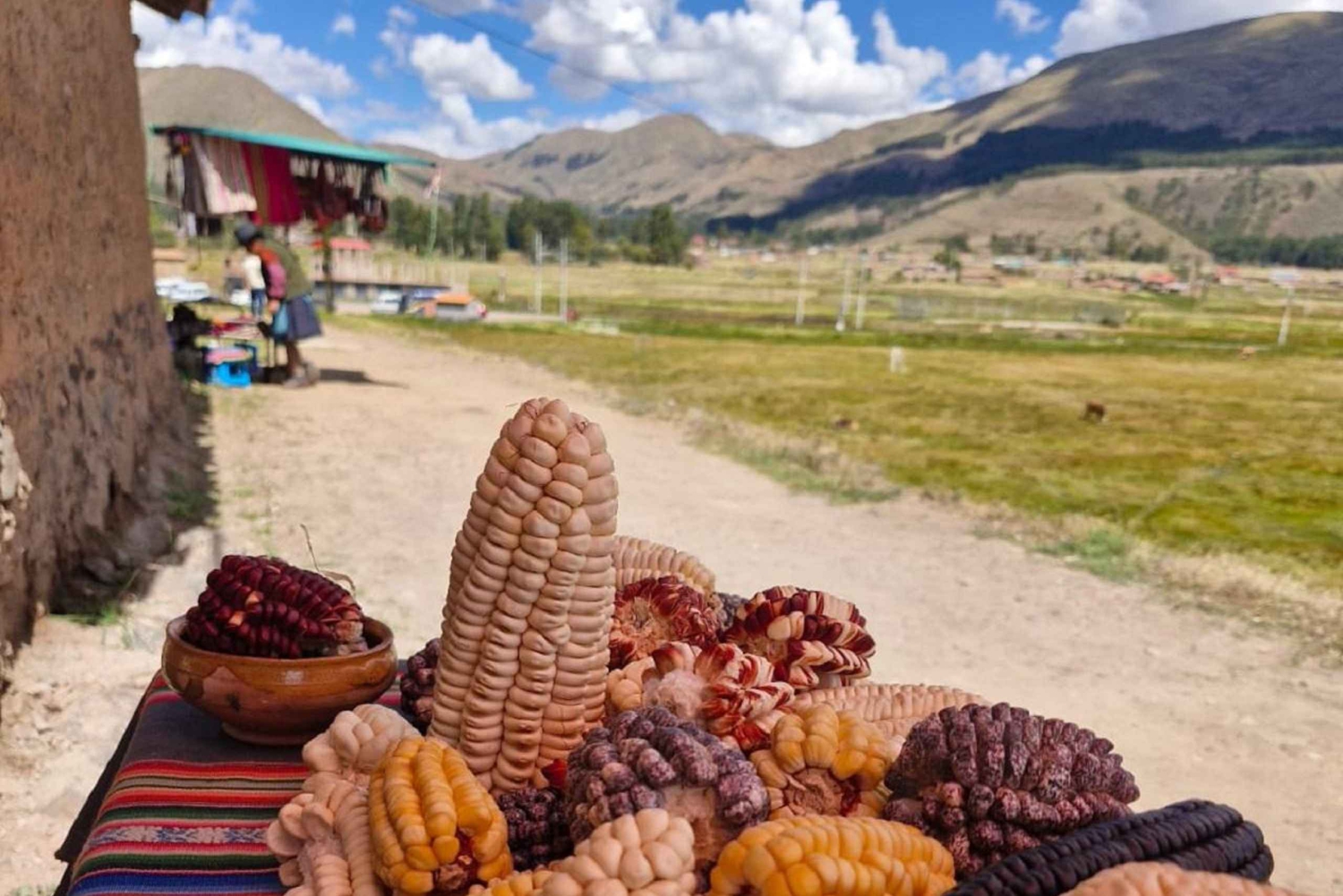 Desde Cusco : Luxery Bus Ruta del Sol-Titicaca Full Day Barco Veloz 2 Días