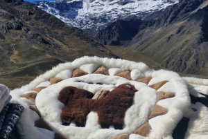 Desde Cusco : Luxery Bus Ruta del Sol-Titicaca Full Day Barco Veloz 2 Días