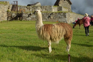 From Cusco: Machu Picchu 2-day Budget Tour by Van