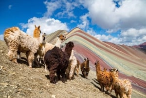 De Cusco: Excursão de 2 dias a Machu Picchu e Rainbow Mountain