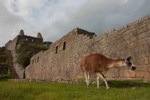 De Cusco: Excursão de 2 dias a Machu Picchu e Rainbow Mountain