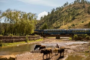 From Cusco: Machu Picchu Full-Day Guided Tour