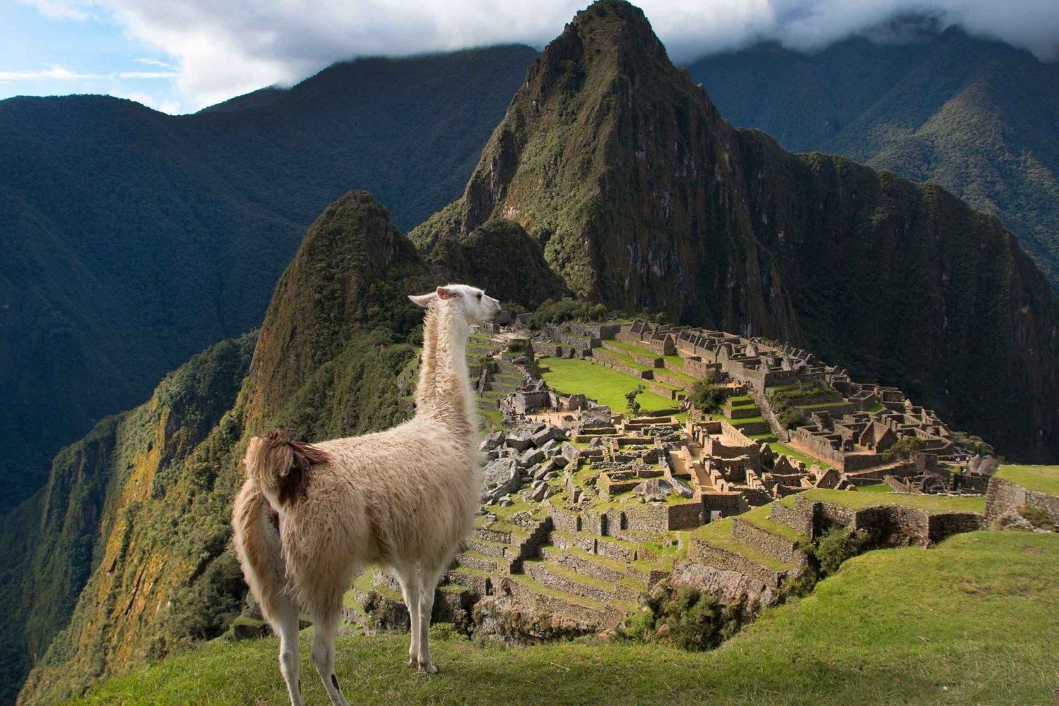 Depuis Cusco : Machu Picchu + montagne Huayna Picchu